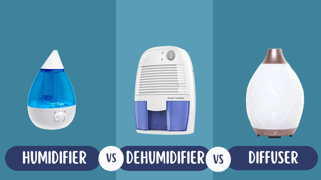 Humidifier vs Dehumidifier vs Diffuser
